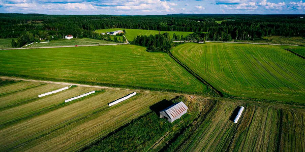 Estudios de suelos agrícolas en el Barcelonès