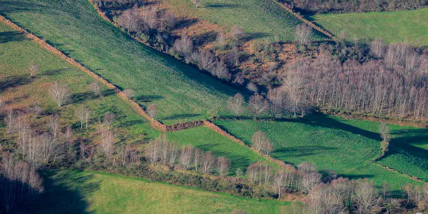 Estudio de Terreno agrícolas